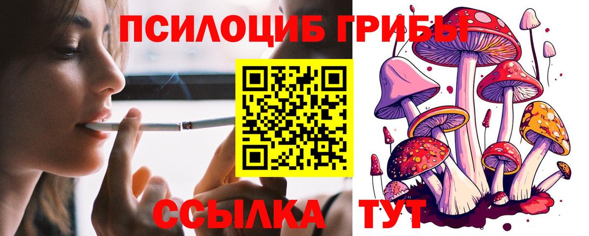 Галлюциногенные грибы мухоморы  Вход с VPN  Рославль 