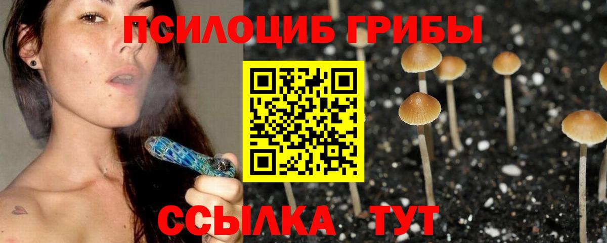 Псилоцибиновые грибы Psilocybine cubensis Рославль